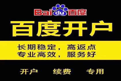 某金融APP的信息流广告投放策略与效果评估